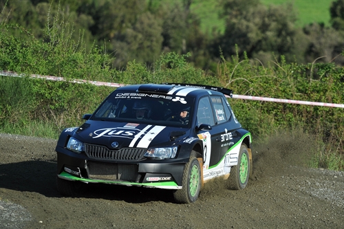 luca hoelbling