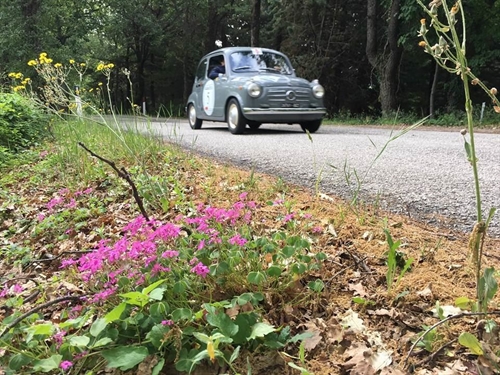 Pierluigi Fortin e Laura Pilè su Fiat 600 del 1957