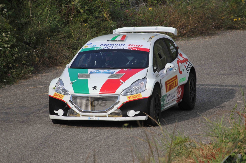 pollara_peugeot_208